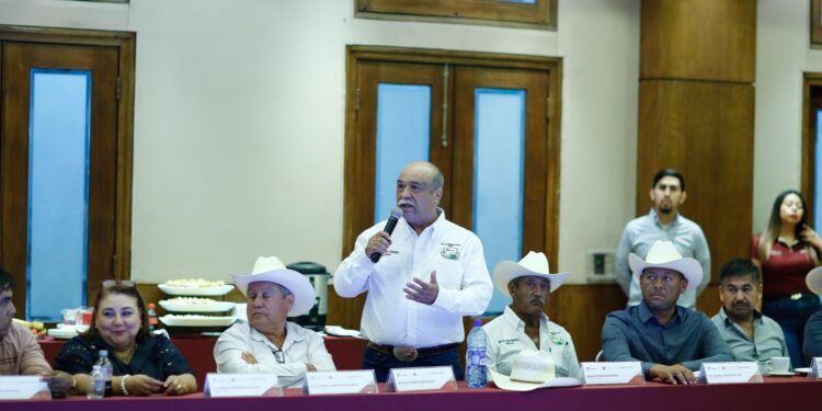 Sigue gestión del gobierno de Tamaulipas de apoyo a productores de sorgo ante federación