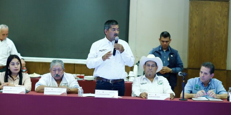 Sigue gestión del gobierno de Tamaulipas de apoyo a productores de sorgo ante federación