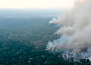 Ola de incendios forestales en São Paulo causa alerta en 34 municipios
