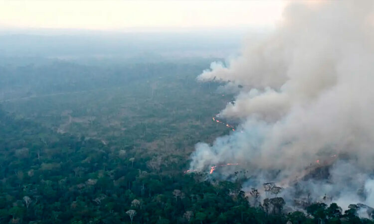 Ola de incendios forestales en São Paulo causa alerta en 34 municipios