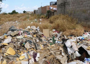 Proyecta SEDUMA privatizar recolección de basura