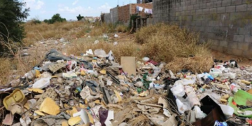 Proyecta SEDUMA privatizar recolección de basura