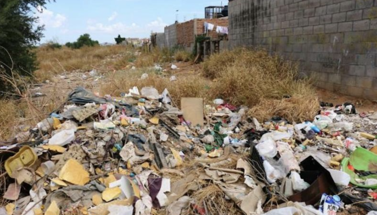 Proyecta SEDUMA privatizar recolección de basura