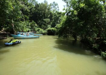Actualiza SEDUMA programa para protección de El Cielo