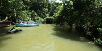 Actualiza SEDUMA programa para protección de El Cielo