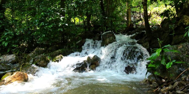 Actualiza SEDUMA programa para protección de El Cielo