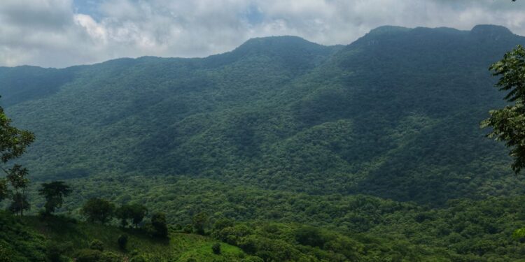 Actualiza SEDUMA programa para protección de El Cielo