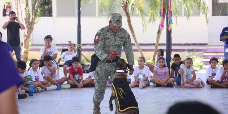 Culmina con éxito campamento de verano del DIF Tamaulipas