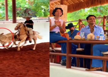 Pepe Aguilar y su familia en el centro de la polémica por maltrato animal