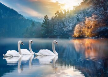 Regalos para los Amantes del Aire Libre: Inspiración para Hombres Aventureros