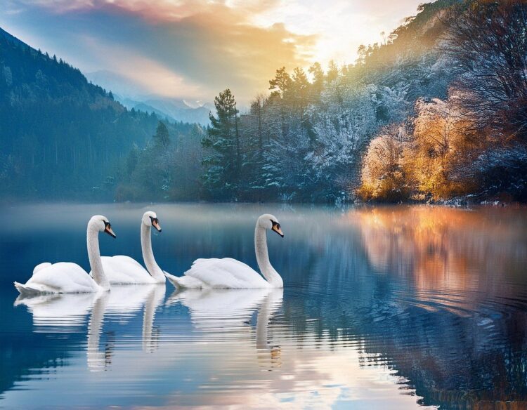 Regalos para los Amantes del Aire Libre: Inspiración para Hombres Aventureros