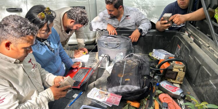 Arranca Comisión de Parques monitoreo del oso negro americano 