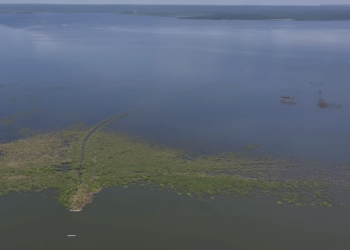 Presas del centro y sur de Tamaulipas están prácticamente llenas