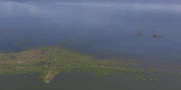 Presas del centro y sur de Tamaulipas están prácticamente llenas