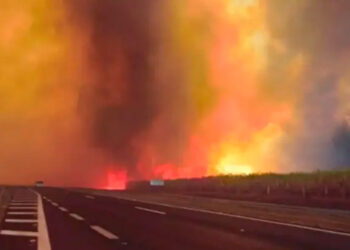 Crisis ambiental en Sao Paulo: 46 ciudades en estado de emergencia por incendios