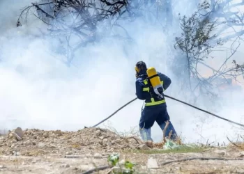 Miles de evacuados en Grecia por incendios que arrasan 10,000 hectáreas