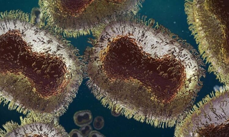 Virus Mpox: nueva cepa mortal preocupa a expertos internacionales