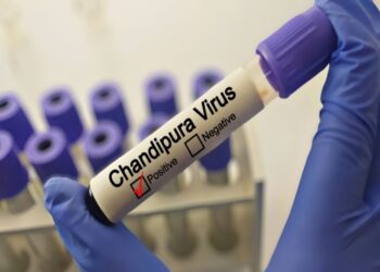 El mortal virus Chandipura: una amenaza creciente