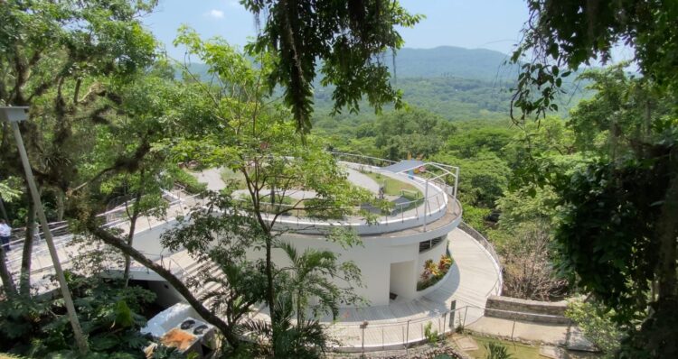 Invitan a Diplomado Internacional en Conservación y Desarrollo Sostenible