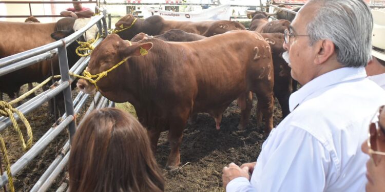 Llevan programa de mejoramiento genético a ganaderos del Valle de San Fernando