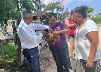 Aplicarán vacuna antirrábica a 300 mil mascotas en Tamaulipas del 22 al 28 de septiembre