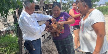 Aplicarán vacuna antirrábica a 300 mil mascotas en Tamaulipas del 22 al 28 de septiembre