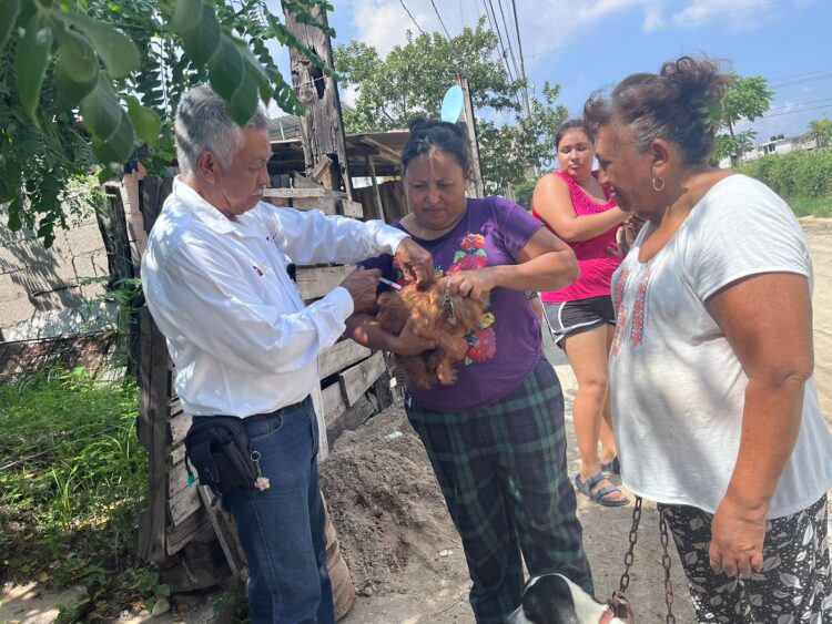 Aplicarán vacuna antirrábica a 300 mil mascotas en Tamaulipas del 22 al 28 de septiembre