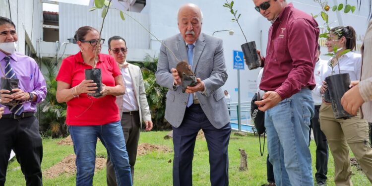 Participa Secretaría de Desarrollo Energético en reforestación del Hospital General de Victoria