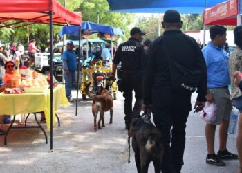 Guardia Estatal de Tamaulipas redobla vigilancia durante festejos patrios