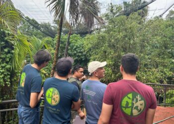 Comisión de Parques punto clave para preservar fauna silvestre en Tamaulipas