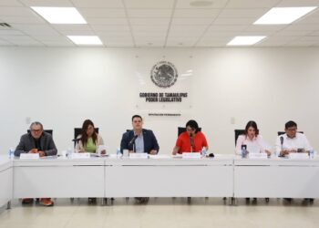 Amonestación Pública a Diputados del PAN Leticia Vargas, Ángel Covarrubias y Rodrigo Pérez por comportamiento inadecuado en sesión