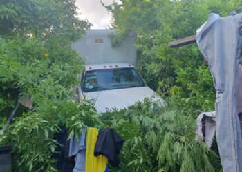 Camión del IMSS, sin frenos, invade patio de vivienda en la Col. Libertad de Cd. Victoria