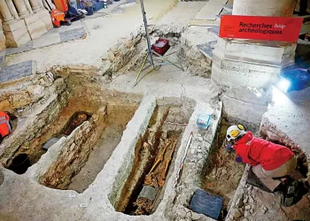 Descubren tumbas en la Catedral de Notre-Dame de París