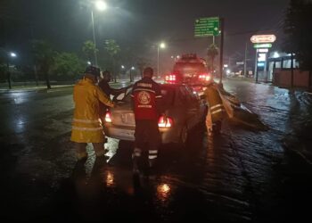 Intensas lluvias en Cd. Victoria dejan varados autos, derriban un poste de TELMEX y un árbol