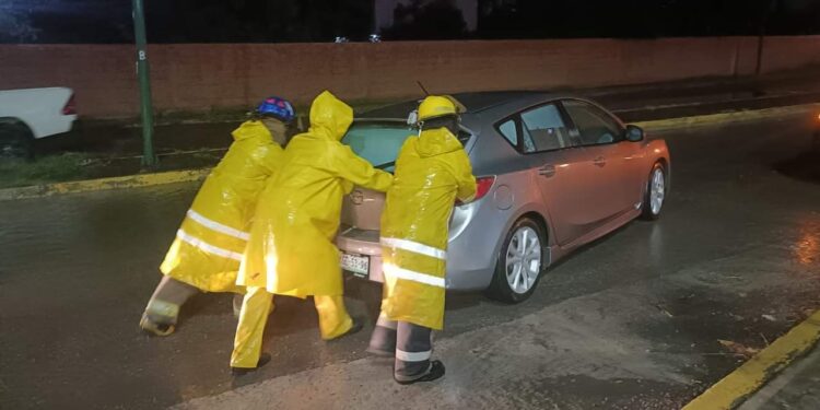 Intensas lluvias en Cd. Victoria dejan varados autos, derriban un poste de TELMEX y un árbol