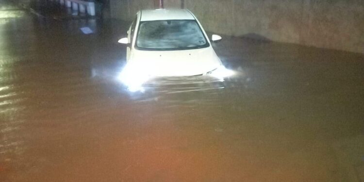 Intensas lluvias en Cd. Victoria dejan varados autos, derriban un poste de TELMEX y un árbol