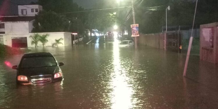 Intensas lluvias en Cd. Victoria dejan varados autos, derriban un poste de TELMEX y un árbol