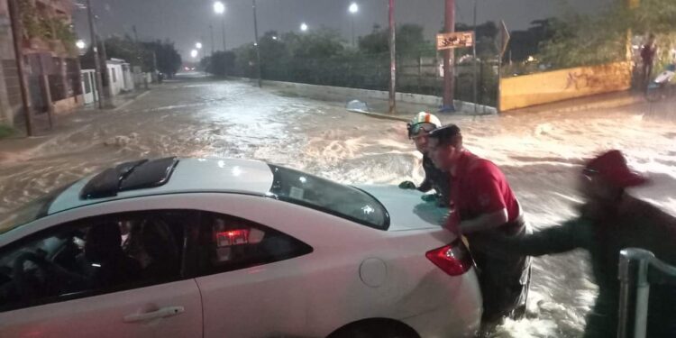 Intensas lluvias en Cd. Victoria dejan varados autos, derriban un poste de TELMEX y un árbol