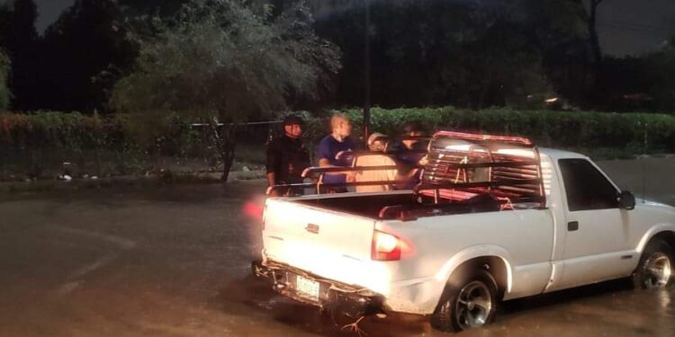 Intensas lluvias en Cd. Victoria dejan varados autos, derriban un poste de TELMEX y un árbol