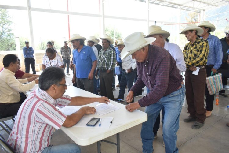 Abren ventanillas para Apoyo Estatal extraordinario a productores de sorgo de Tamaulipas