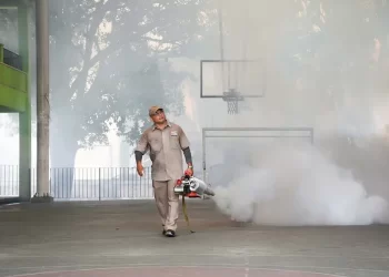 Registra México más de 59 mil casos de dengue y 146 muertes este 2024