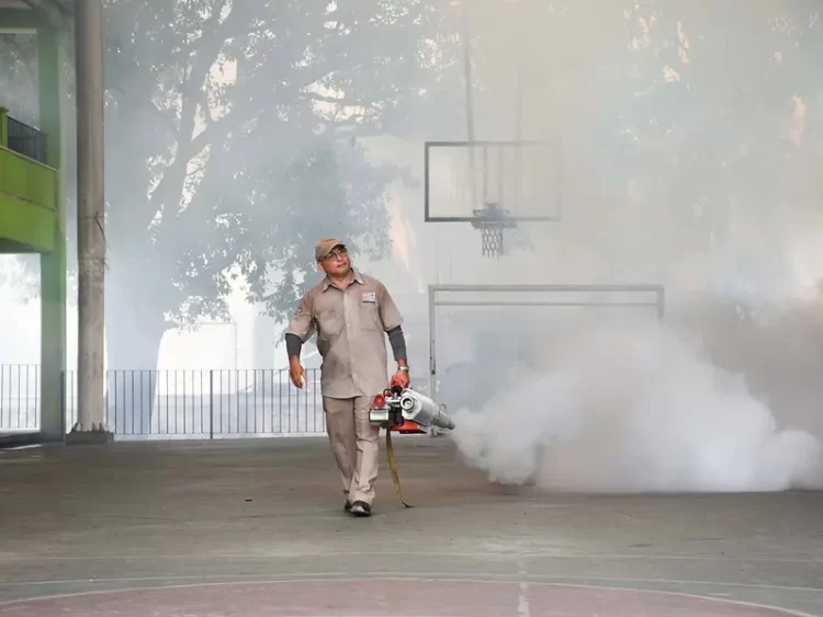 Registra México más de 59 mil casos de dengue y 146 muertes este 2024