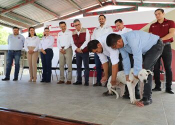 Llama la SS a vacunar perros y gatos en Jornada de Vacunación Antirrábica de Tamaulipas