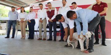 Llama la SS a vacunar perros y gatos en Jornada de Vacunación Antirrábica de Tamaulipas