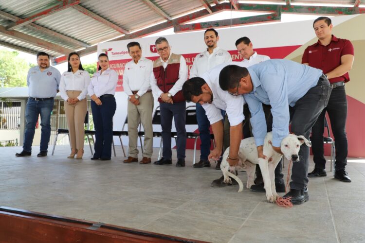Llama la SS a vacunar perros y gatos en Jornada de Vacunación Antirrábica de Tamaulipas
