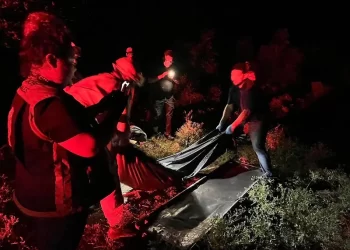 Abuelito muere por ataque de abejas en Soto la Marina, Tamaulipas