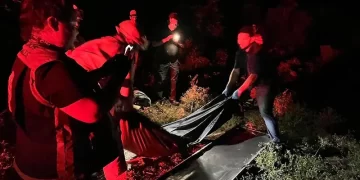 Abuelito muere por ataque de abejas en Soto la Marina, Tamaulipas