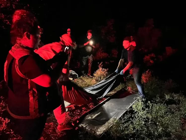 Abuelito muere por ataque de abejas en Soto la Marina, Tamaulipas