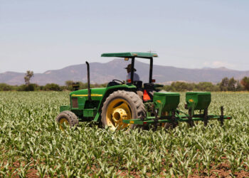Demandan agricultores de Tamaulipas reactivar créditos de avío, seguro y cobertura de cosechas
