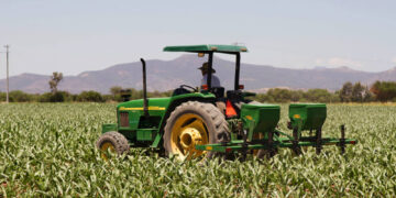 Demandan agricultores de Tamaulipas reactivar créditos de avío, seguro y cobertura de cosechas
